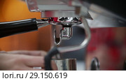 Close up of espresso pouring from coffee machine. Стоковое видео, видеограф Константин Шишкин / Фотобанк Лори