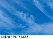 Celestial background - blue day sky with white cirro-cumulus clouds. Стоковое фото, фотограф Евгений Харитонов / Фотобанк Лори