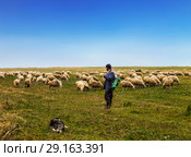 Пастух и собака пасут овец в долине. Стоковое фото, фотограф Наталья Волкова / Фотобанк Лори