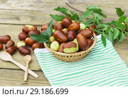 Плоды унаби (зизифус настоящий, китайский финик, чапыжник, жужуба, лат. Ziziphus jujuba) в плетеной корзинке на столе. Стоковое фото, фотограф Наталья Гармашева / Фотобанк Лори