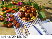 Плоды унаби (зизифус настоящий, китайский финик, чапыжник, жужуба, лат. Ziziphus jujuba) и блокнот для записей на столе. Солнечный осенний день. Стоковое фото, фотограф Наталья Гармашева / Фотобанк Лори