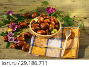Плоды унаби (зизифус настоящий, китайский финик, чапыжник, жужуба, лат. Ziziphus jujuba) на деревянном столе в лучах осеннего солнца. Стоковое фото, фотограф Наталья Гармашева / Фотобанк Лори