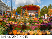 Фестиваль "Золотая осень 2018". Московские сезоны. Редакционное фото, фотограф Светлана Голинкевич / Фотобанк Лори