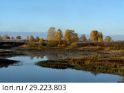 Сельское озеро ранним утром. Стоковое фото, фотограф Игорь Камаев / Фотобанк Лори