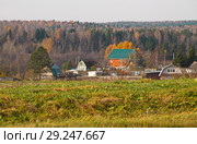 Деревня Михалево Вологодская область. Осень (2018 год). Стоковое фото, фотограф Наталия Кузнецова / Фотобанк Лори