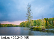 Река Шуя в Карелии. Осенний пасмурный вечер. Стоковое фото, фотограф Сергей Цепек / Фотобанк Лори