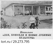 Павильон "Лен, конопля и новые лубяные культуры". Всесоюзная сельскохозяйственная выставка в Москве. 1939 год. Стоковая иллюстрация, иллюстратор Макаров Алексей / Фотобанк Лори