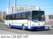 GOLAZ LIAZ 5256 (2009 год). Редакционное фото, фотограф Art Konovalov / Фотобанк Лори