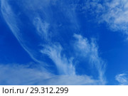 Celestial background - blue day sky with white cirro-cumulus clouds. Стоковое фото, фотограф Евгений Харитонов / Фотобанк Лори