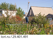 Пугало на даче. Стоковое фото, фотограф Инга Прасолова / Фотобанк Лори