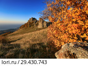 Beautiful Demerdzhi mountains and yellow maple tree leaves on a sunny autumn day (2018 год). Стоковое фото, фотограф Яна Королёва / Фотобанк Лори