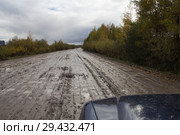 Грязная грунтовая дорога в России. Архангельская область (2018 год). Стоковое фото, фотограф Яковлев Сергей / Фотобанк Лори