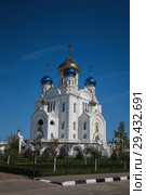 Лиски. Кафедральный собор Владимирской иконы Божией Матери (2018 год). Стоковое фото, фотограф Литвяк Игорь / Фотобанк Лори
