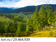 Image of Karpaty mountains (2017 год). Стоковое фото, фотограф Яков Филимонов / Фотобанк Лори