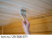Женская рука флейцевой кистью красит деревянный потолок. Стоковое фото, фотограф Светлана Попова / Фотобанк Лори
