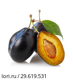 Three ripe fruit prunes isolated on white background. Стоковое фото, фотограф Сергей Чайко / Фотобанк Лори