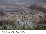 Тропинка через поле. Снег и зеленая трава. Стоковое фото, фотограф Яковлев Сергей / Фотобанк Лори