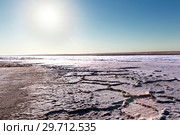Steppe saline soils. Steppe prairie veldt veld. Saline soils of the desert. Salt lakes. (2015 год). Стоковое фото, фотограф Евгений Ткачёв / Фотобанк Лори
