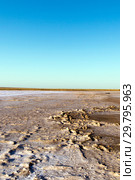 Steppe saline soils. Steppe prairie veldt veld. Saline soils of the desert. Salt lakes. Стоковое фото, фотограф Евгений Ткачёв / Фотобанк Лори