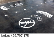 Bike lane with road symbols. Стоковое фото, фотограф FotograFF / Фотобанк Лори