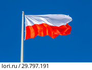 Flag of Poland waving in the wind against the sky. Стоковое фото, фотограф FotograFF / Фотобанк Лори