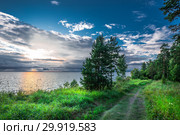 Тропа вдоль побережья Обского моря. Летний пейзаж, Новосибирская область, Западная Сибирь, Россия. Стоковое фото, фотограф Евгений Мухортов / Фотобанк Лори