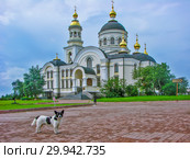Собаки на фоне Собора Михаила Архангела. Село Меркушино. Свердловская облать (2011 год). Стоковое фото, фотограф Сергей Афанасьев / Фотобанк Лори