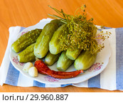 Соленые огурцы, острый перец, укроп и чеснок на тарелке, бочковые. Стоковое фото, фотограф Дудакова / Фотобанк Лори