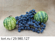 Still life from two watermelons and grape. Стоковое фото, фотограф Александр Птах / Фотобанк Лори