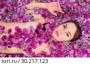 Девушка лежит в ванной с хризантемами. Стоковое фото, фотограф Арестов Андрей Павлович / Фотобанк Лори