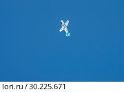 Yakovlev Yak-18T выполняет фигуры высшего пилотажа. Aircraft Yakovlev Yak-18T performs aerobatics (2015 год). Редакционное фото, фотограф Евгений Романов / Фотобанк Лори