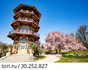 Pagoda Observatory in Patterson park, Baltimore (2018 год). Стоковое фото, фотограф Сергей Новиков / Фотобанк Лори