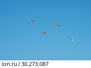 Звено самолётов СП-38УТА, СП-39УТА, СП-37УТА в полете. Formation of planes SP-38UTA, SP-39UTA, SP-37UTA in flight. Стоковое фото, фотограф Евгений Романов / Фотобанк Лори