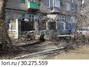 упавшее дерево, которое росло вплотную к дому в городе Волгоград, улица Северный городок д.1 (2019 год). Редакционное фото, фотограф Владимир Арсентьев / Фотобанк Лори