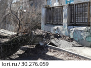 Последствия упавшешл дерева на проезжую часть, которое росло вплотную, к дому в городе Волгоград, улица Северный городок д.1 (2019 год). Редакционное фото, фотограф Владимир Арсентьев / Фотобанк Лори