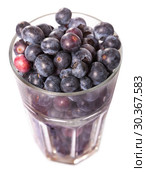 Glass of blueberries on white background. Стоковое фото, фотограф Яков Филимонов / Фотобанк Лори