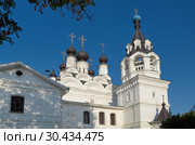 Свято-Благовещенский мужской монастырь в городе Муроме, Владимирская область. Благовещенский собор (2018 год). Стоковое фото, фотограф Елена Коромыслова / Фотобанк Лори