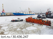 Спасательное судно во время учений (2019 год). Редакционное фото, фотограф Алексей Шматков / Фотобанк Лори