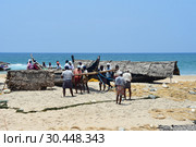 Индия. Рыбаки на берегу Индийского океана в местечке Ковалам (Kovalam) в Керале (2019 год). Редакционное фото, фотограф Овчинникова Ирина / Фотобанк Лори