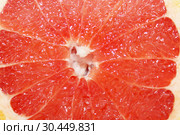 Grapefruit red cut by pieces. Стоковое фото, фотограф Александр Птах / Фотобанк Лори