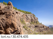 Gran Canaria, March. Стоковое фото, фотограф Tamara Kulikova / Фотобанк Лори