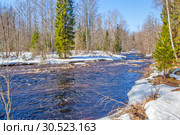 Река Рощинка (Линдуловка). Линдуловская лиственничная роща. Выборгский район. Ленинградская область (2019 год). Стоковое фото, фотограф Сергей Афанасьев / Фотобанк Лори
