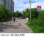 Пешеходный мост через Яузу. Улица Щербакова. Город Мытищи. Мытищинский район. Московская область. Россия (2015 год). Редакционное фото, фотограф lana1501 / Фотобанк Лори