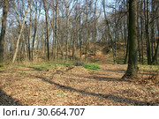 Весенний пейзаж, Филевский парк в апреле (2019 год). Стоковое фото, фотограф Щеголева Ольга / Фотобанк Лори