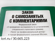 Закон о самозанятых с комментариями. Стоковое фото, фотограф Victoria Demidova / Фотобанк Лори