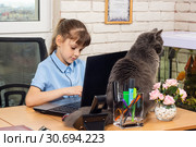 Восьмилетняя девочка за офисным столом, на столе сидит кот. Стоковое фото, фотограф Иванов Алексей / Фотобанк Лори