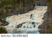 Водопад Гирвас в Карелии. Кондопожский район. Весенний сброс воды на Пальеозерской ГЭС. Стоковое фото, фотограф Сергей Цепек / Фотобанк Лори