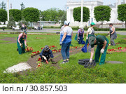 Высаживание цветов на клумбы на Главной аллее ВДНХ в Москве, Россия (2019 год). Редакционное фото, фотограф Елена Коромыслова / Фотобанк Лори