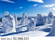Зимняя страна чудес с деревьями необычной формы. Стоковое фото, фотограф Евгений Ткачёв / Фотобанк Лори