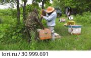 Горная пасека. Пчеловоды за работой. Mountain apiary. Beekeepers at work. Стоковое видео, видеограф Евгений Романов / Фотобанк Лори